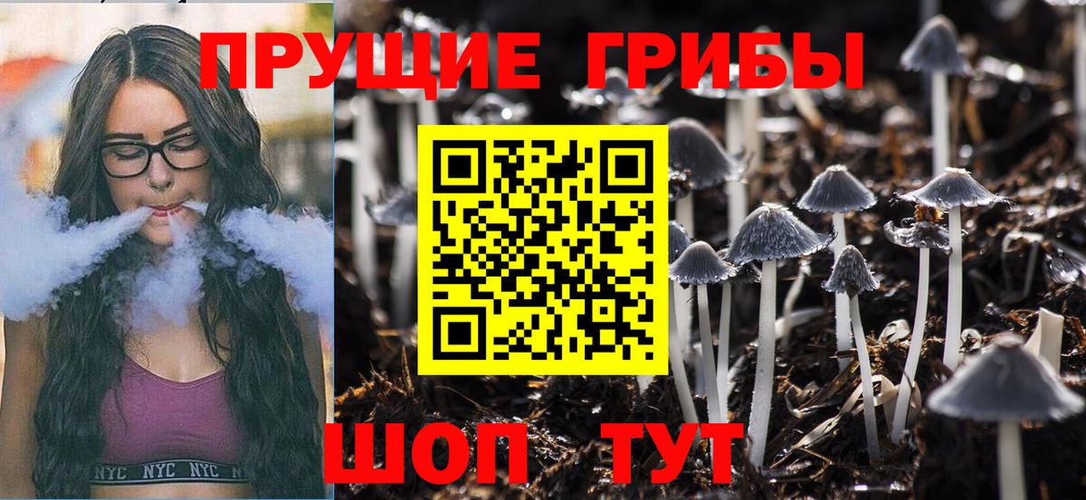 NBOMe  Экстази  Марихуана  Пыть-Ях  Гашиш  Кокаин  МЕФ   Вход с VPN 