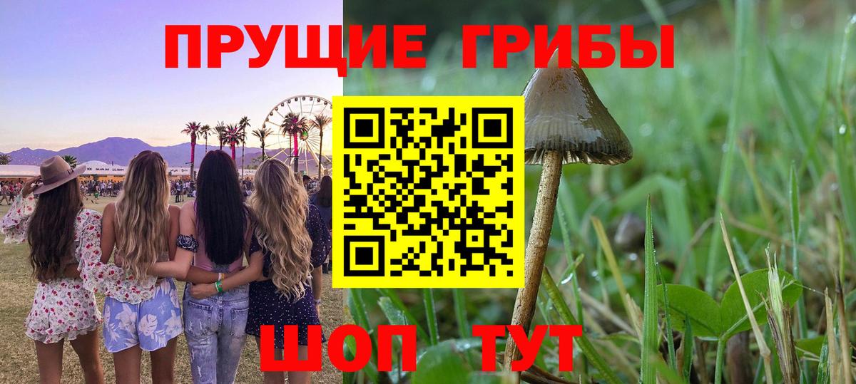 Пыть-Ях  Галлюциногенные грибы прущие грибы  Вход с VPN  Псилоцибиновые грибы Psilocybine cubensis 